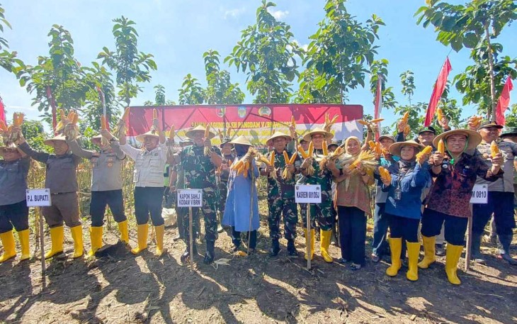Panen raya jagung di Kabupaten Nganjuk 