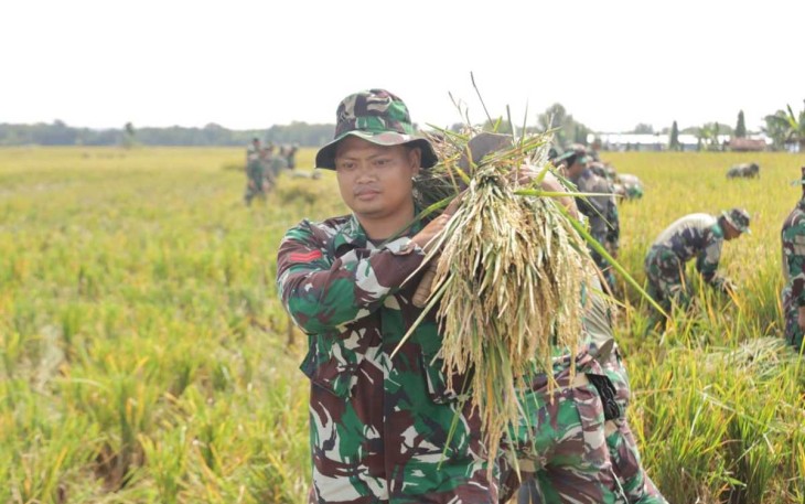 Panen raya padi di Kabupaten Ngawi