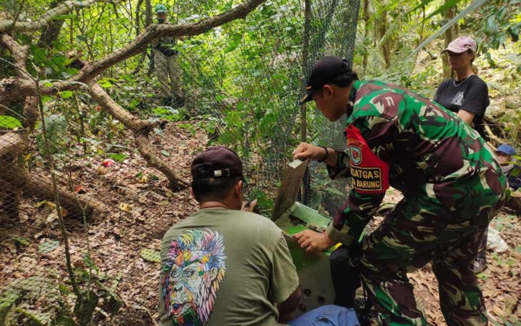 Pelepasan satwa ke habitatnya
