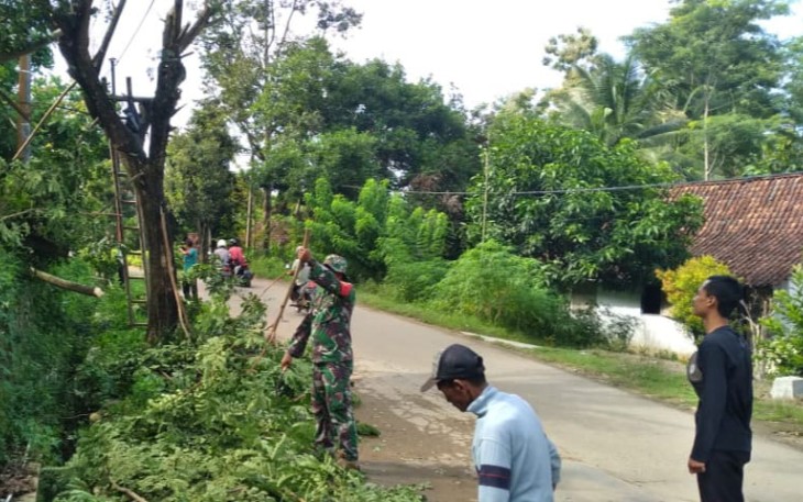 Penebangan pohon di wilayah desa binaan 