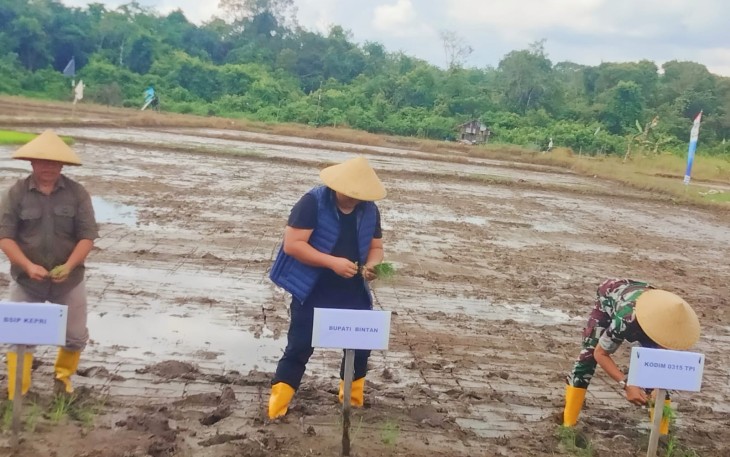 Bupati Bintan Hadiri Gerakan Tanam Padi dan Penyerahan Bantuan Pupuk 