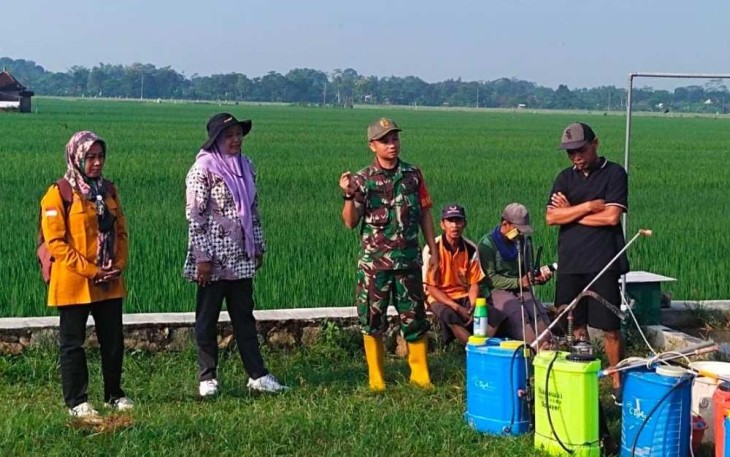 Penyuluhan pertanian di wilayah desa binaan 