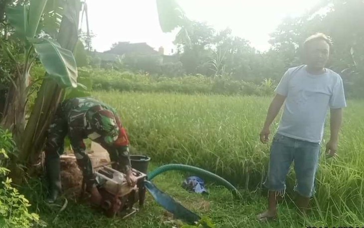 Pengairan tanaman padi warga desa binaan 