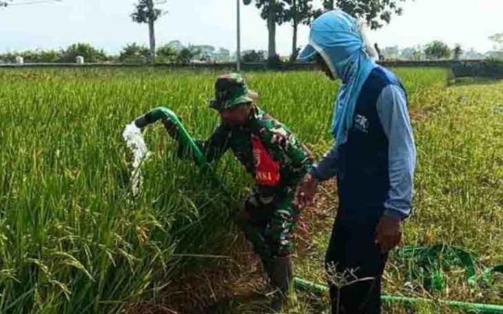 Pendampingan pompanisasi persawahan petani desa binaan 