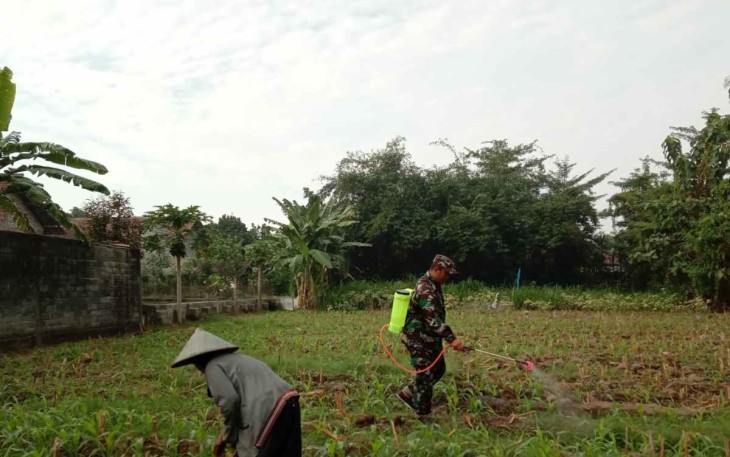 Pendampingan penyemprotan lahan pertanian warga binaan 