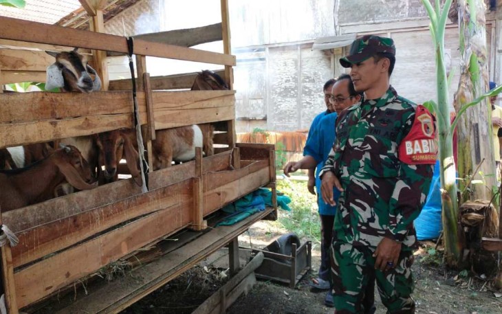Pendampingan peternak kambing wilayah desa binaan 