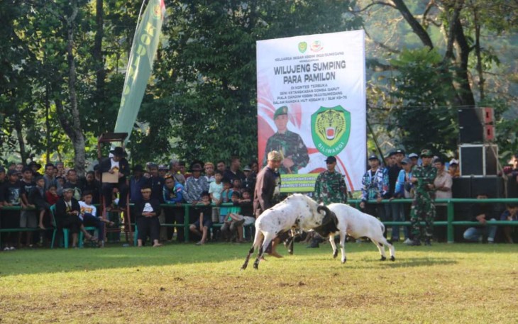 Seni ketangkasan domba Garut, Minggu (30/6)