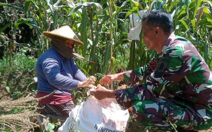 Bantu panen jagung warga binaan