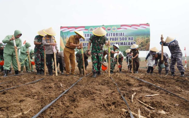 Danrem 071 Wijayakusuma Kolonel Inf Jamaluddin tanam jagung di Pemalang