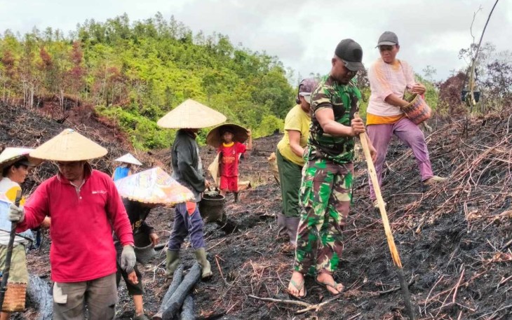 Tanam padi di wilayah desa perbatasan 