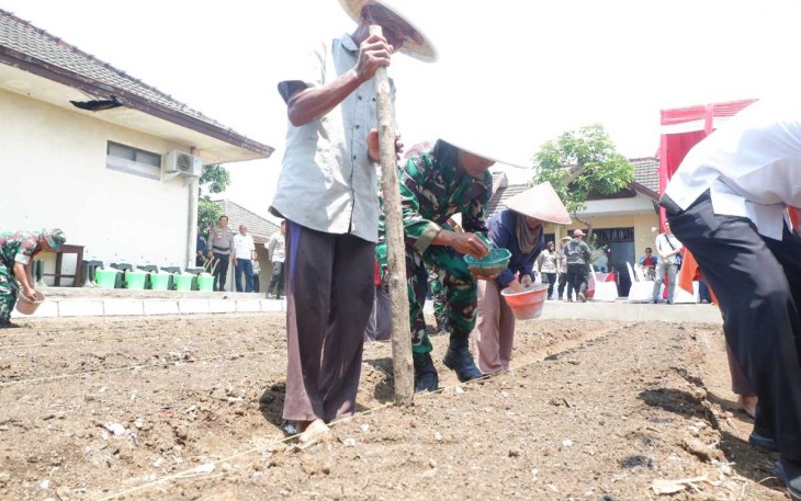 Kasdim 0818/Malang-Batu Mayor Czi Supaat menanam jagung, Rabu (20/11)