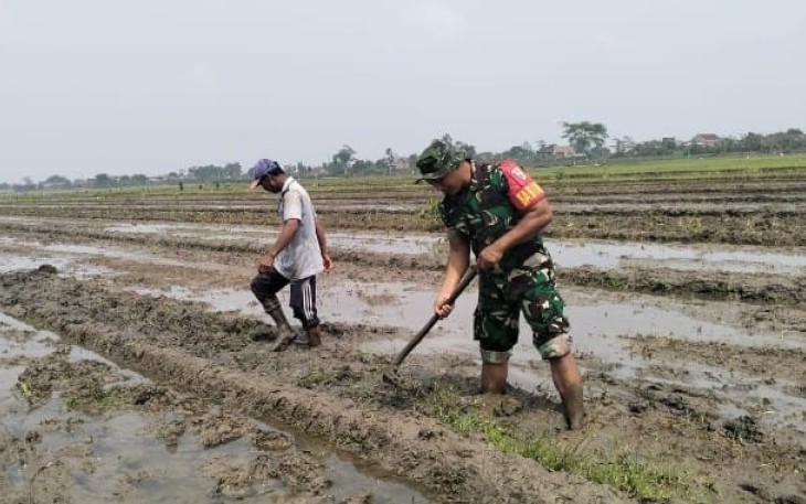 Bantu olah lahan petani wilayah desa binaan 