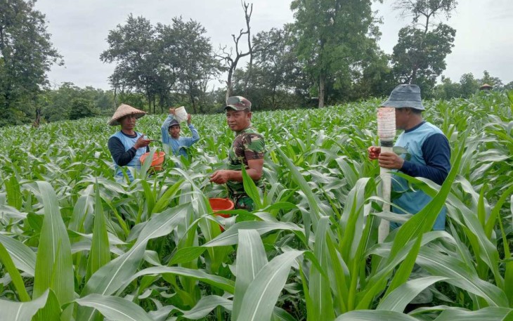 Bantu petani wilayah desa binaan 