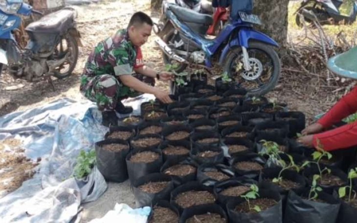 Sertu Suyatno bantu petani semai bibit cabai di wilayah desa binaannya 