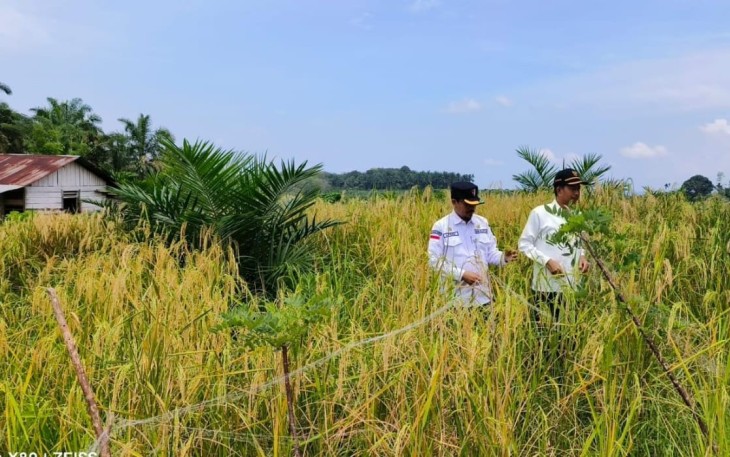 Wabup Pasbar saat Dampingi Liferdi Lukman Kunjungi Poktan Sumber Rezki