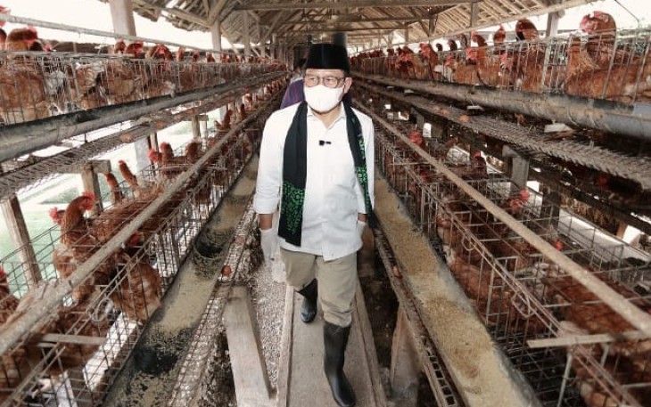 Gus Imin saat tinjau peternakan unggas di Kabupaten Blitar, Jawa Timur, Kamis, 11 Januari 2024.