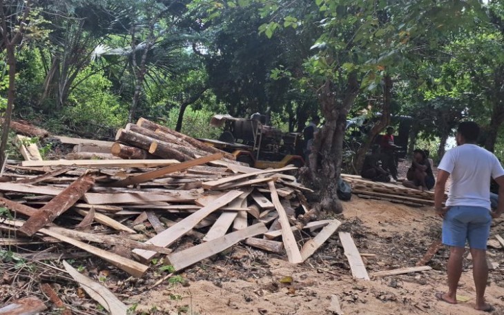 BB Kasus Illegal Logging Hutan Lindung Oana