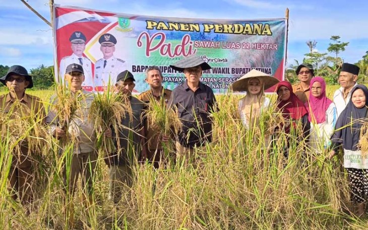 Bupati dan Wakil Bupati Natuna saat Panen Padi di Desa Payak, Selasa (06/02/2024).