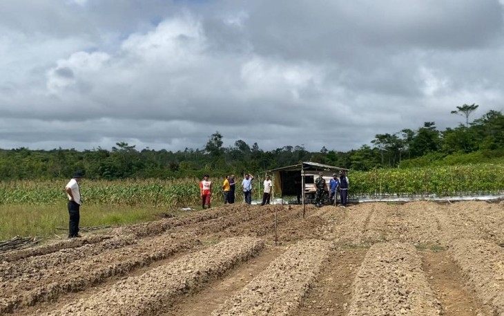 Jajaran Polres Natuna dan Polsek Dukung Program Ketahanan Pangan Penanaman Jagung 