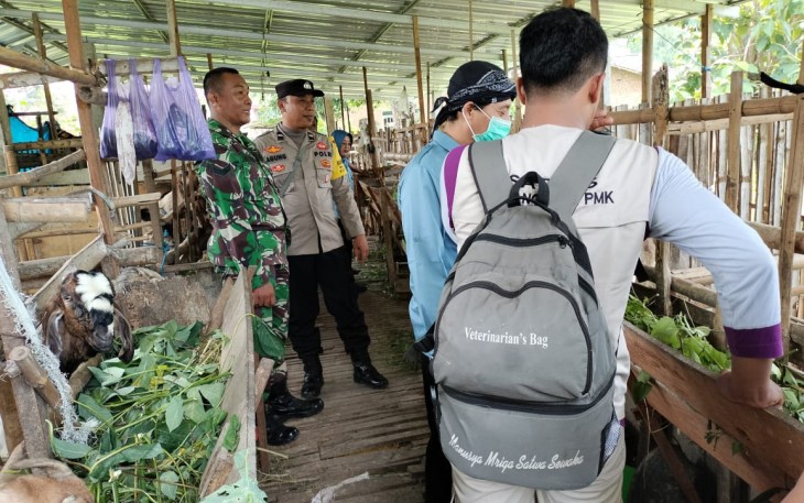 Babinsa Desa Lembah Bersama Dinas Ketahanan Pangan dan Peternakan Lakukan Monev Ternak Kambing