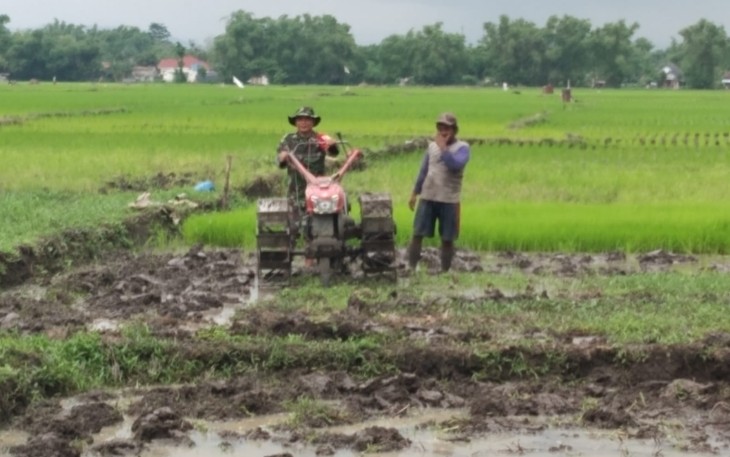 Babinsa Desa Sumberejo saat lakukan Pendampingan Penyiapan Lahan