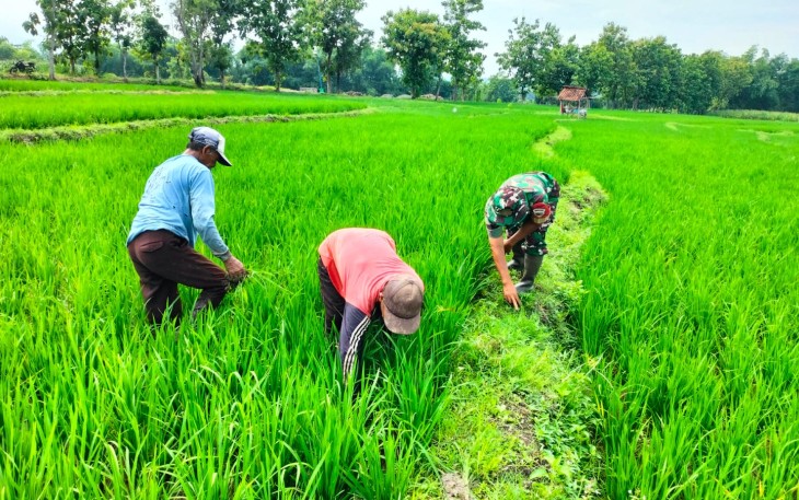Empat Satuan Jajaran Korem 081/DSJ Lampaui Target LTT