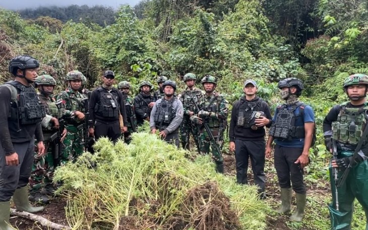 Satgas Gabungan Pamtas RI-PNG Ungkap Empat Kebun Ganja di Pegunungan Bintang Papua