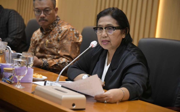 Anggota Komisi IX DPR RI Irma Suryani