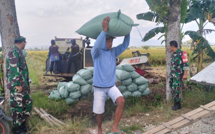 Babinsa Desa Kertobanyon, Koramil 080311 Geger, Serda Nur Ikhwan saat Dampingi Penyerapan Gabah Petani oleh Perum Bulog.