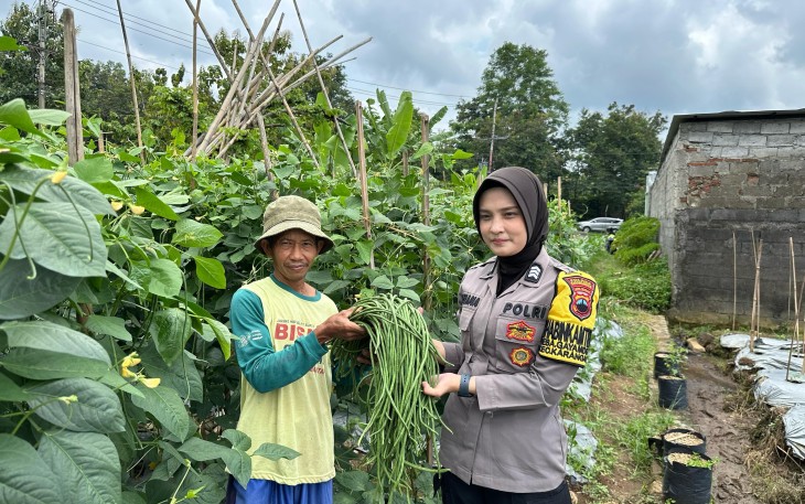 Bhabinkamtibmas Kelurahan Gayamdompo Brigpol Sufiana Maya saat memanen kacang panjang bersama salah satu warga desa binaannya, Minggu (23/2/2025)