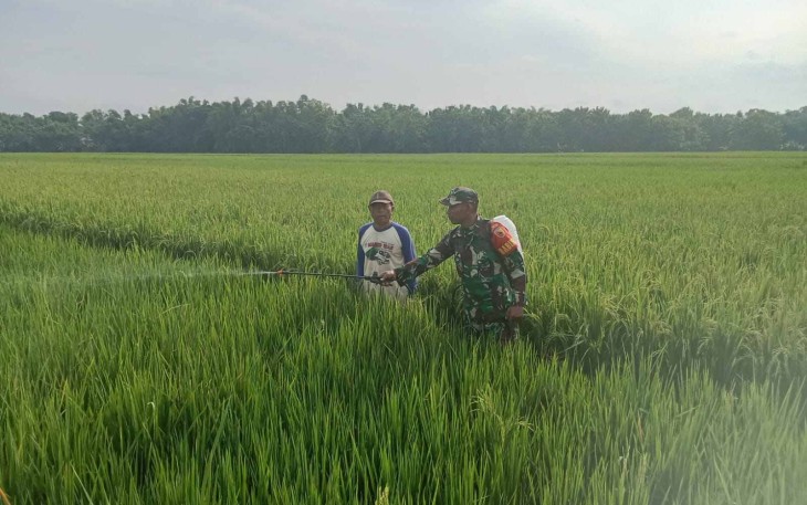 Pendampingan petani wilayah desa binaan 