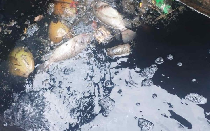 Situasi terkini Situ Bahar dengan bangkai ikan, sampah dan air hitam, Selasa (18/11)