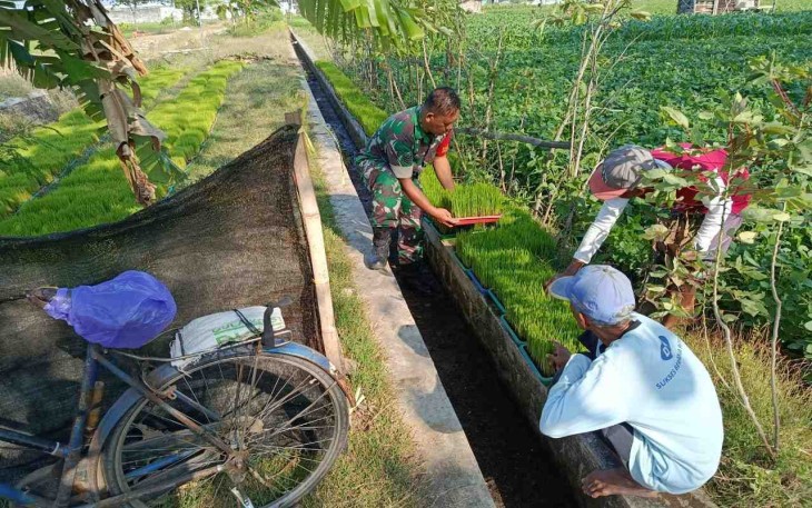 Pendampingan petani wilayah desa binaan 