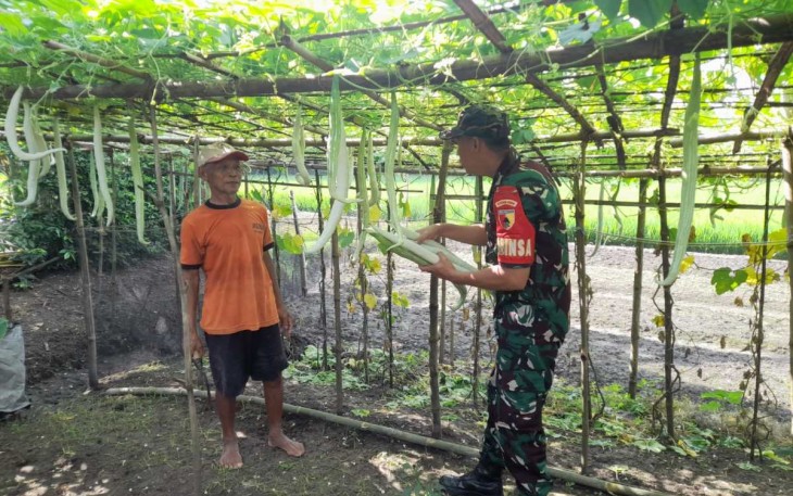 Bantu merawat tanaman petani desa binaan 