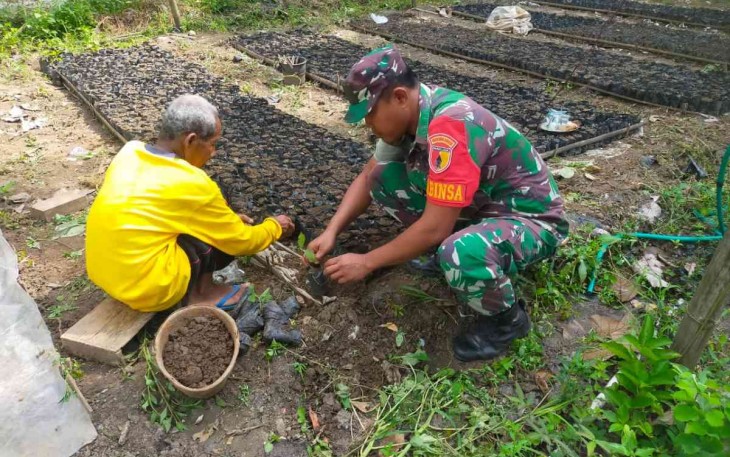 Penyemaian bibit mahoni bersama warga