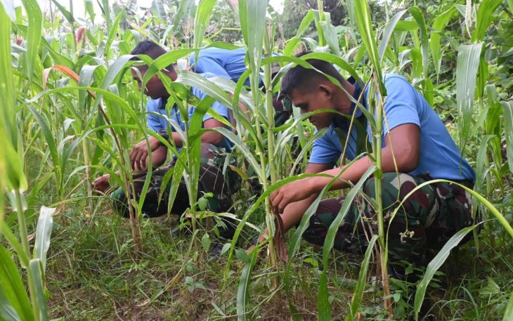 Pemanfaatan lahan untuk ketahanan pangan di Skadik 404, Kamis (6/2)