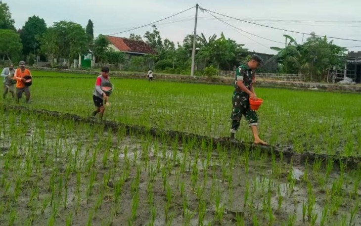Pendampingan petani wilayah desa binaan 