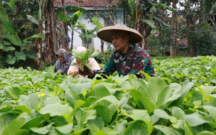 Ketahanan pangan lanud Husein Sastranegara Bandung 