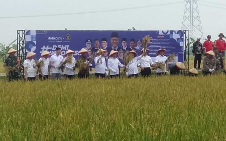Panen raya padi di Kabupaten Ngawi