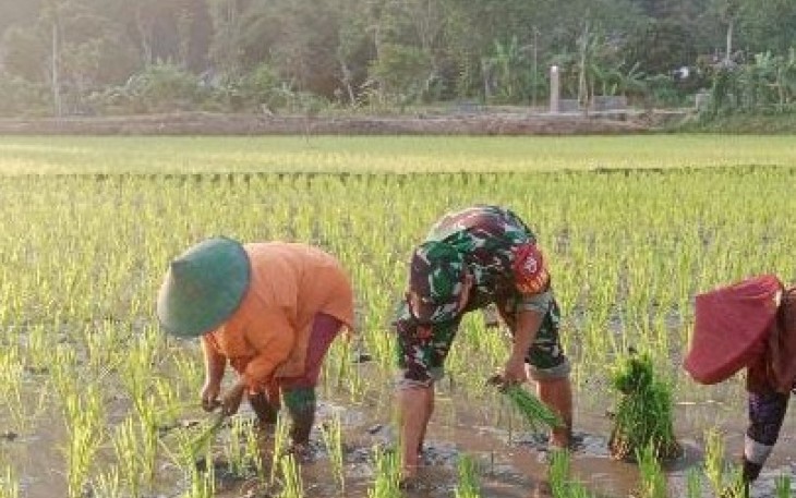 Tanam padi bersama warga binaan