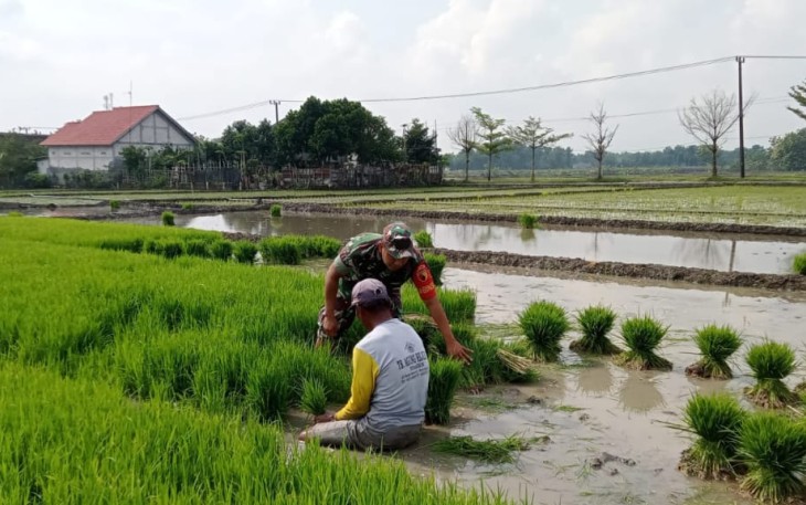 Bantu petani wilayah desa binaan 
