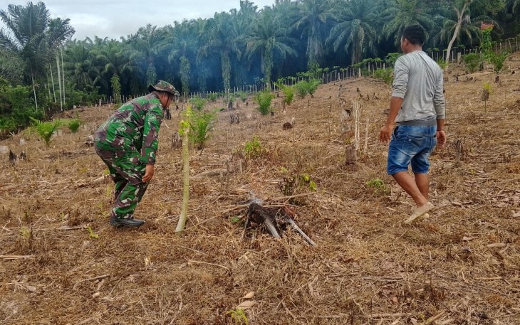 Anggota Satgas TMMD Ke-124 Kodim 0408/BS Bantu Warga Bersihkan Kebun Sawit