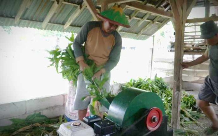 Mesin pencacah pakan ternak 