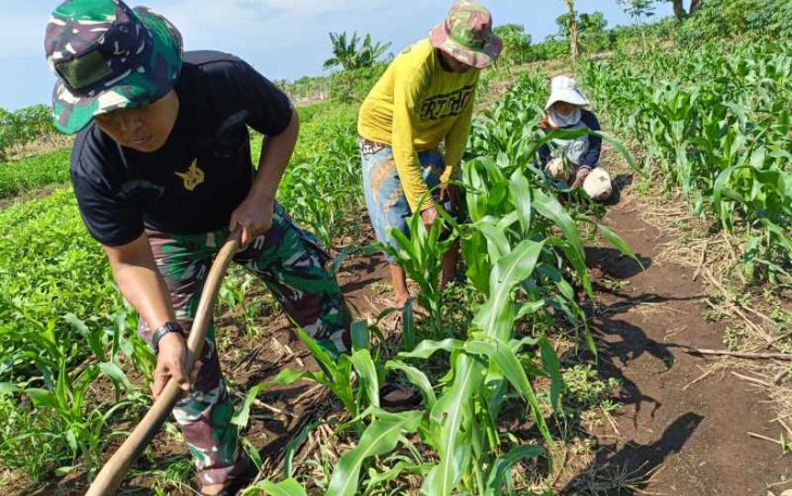 Ketahanan pangan lanud Husein Sastranegara Bandung 