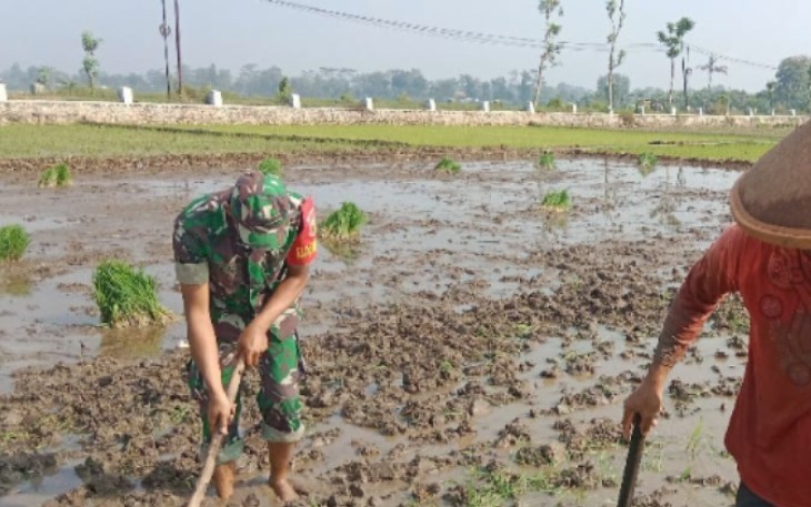 Bantu olah lahan petani wilayah desa binaan 