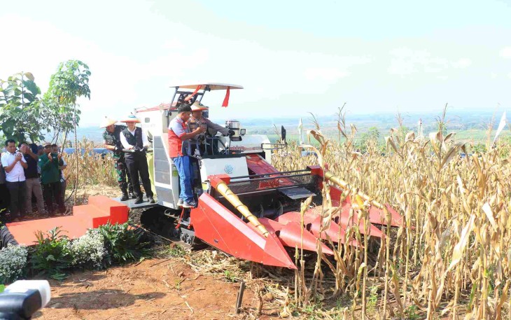 Kapolda Jatim Irjen Pol Nanang Avianto saat panen raya jagung di Kabupaten Ngawi, Kamis (5/6)