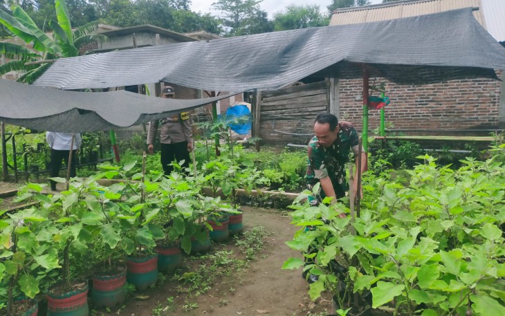 Babinsa Koramil Gemarang Pastikan Ketersediaan Bibit Sayuran