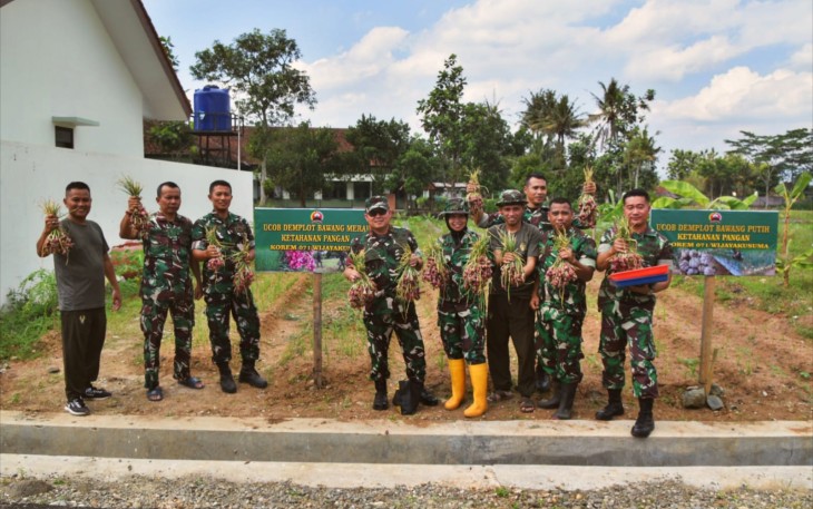 Danrem 071/Wijayakusuma Brigjen TNI Jamaluddin, S.I.P., M.I.P. saat panen uji coba bawang merah dilingkungan lahan asrama prajurit Korem 071/Wijayakusuma Sokaraja, Banyumas. Jumat (11/7/2025)