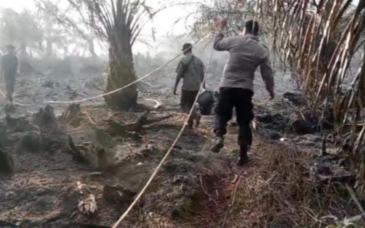 Warga dibantu pihak kepolisian berjibaku memadamkan kobaran api yang melalap lahan sawit milik warga di Desa Ketapang Indah, Kecamatan Singkil Utara, Ermi (51) hangus terbakar, Kamis, (18/9/2025)