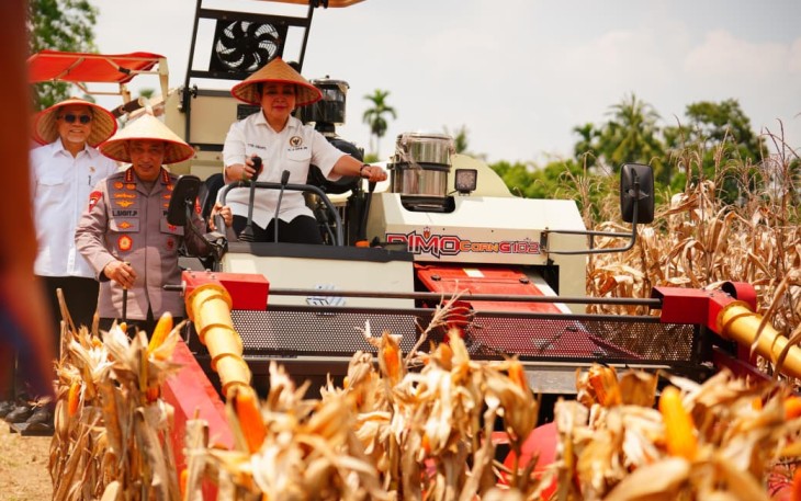 Kapolri Jenderal Listyo Sigit Prabowo saat panen raya jagung di Oku Timur, Sumsel, Sabtu (27/9)